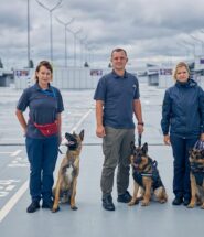 Trois agents de sécurité avec leurs chiens